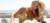 Banner rotativo 3