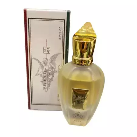 Brand Collection N.407 ( Naxos Xerjoff) 25ML - comprar online