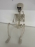 Esqueleto Charlie 75cm Cód. 29005017