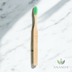 Cepillo de Dientes Adulto - Cerda Media - comprar online