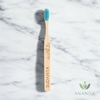 Cepillo de Dientes Adulto - Cerda Dura - comprar online
