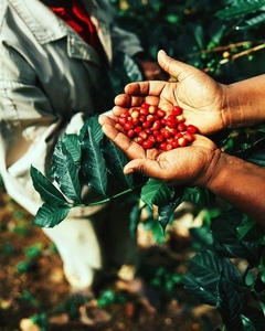 Banner de la categoría Combos Cafe de Especialidad