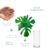 KIT ELEGÂNCIA TROPICAL – COSTELA DE ADÃO na internet