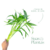 KIT PROSPERIDADE – BAMBU DA SORTE - Suas Plantas