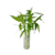 KIT PROSPERIDADE – BAMBU DA SORTE - comprar online