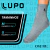 Kit 10 Pares Meia Lupo Cano Médio Masculina Atacado Original na internet