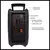 Parlante Portátil Bluetooth (8 Pulgadas/ Micrófono / Luces Led / Color Negro en internet