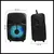 Parlante Portátil Bluetooth (8 Pulgadas/ Micrófono / Luces Led / Color Negro - LKIMPORT