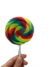 Paleta 8cm