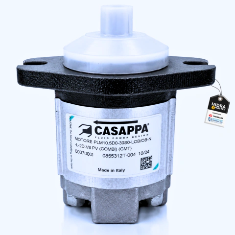 MOTOR PLM10.5D0-30S0-LOB/OB-N-L-2D-V8-PV 0037000I / 00370722