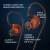 Auricular Lafitear Ld2-r Hifi Gamer Monitoreo Deportivo Rojo en internet