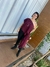 Bata Verbena - loja online