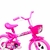 Bicicleta Aro 12 Infantil Track Arco Íris Rosa Fucsia - DBike Online - Caloi, Cannondale, Shimano, Lazer, Absolute, Motul