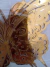 Imagen de Mariposas de colores x12u