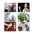 Kit Borrifador Spray Azeite 200ml Fratelli - comprar online