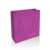 SACOLA PAPEL 10x10x4 na internet