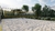 Vital 1342-Leonna Ferrazza(A partir de R$300.000,00) - comprar online