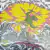 King Gizzard and The Lizard Wizard - Teenage Gizzard (Compilação)