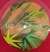 Compacto - Projetonave & Flora Matos – Luz (Single) - Discomania Records