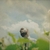Compacto - Bruno Morais – No Estudio A.2 (Single)