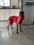 Fit Paw