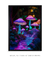 Cogumelos Luminescentes na Floresta