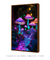 Imagem do Cogumelos Luminescentes na Floresta