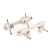 Plancha Roll Line Mirage en internet