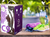 Clean 9 - comprar online
