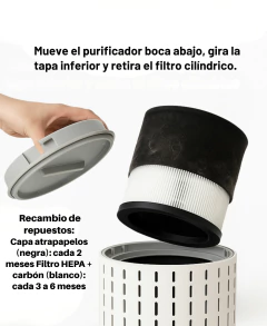 Purificador de Aire para Mascotas en internet