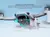 DJI MINI 4 Pro Fly More Combo (Con DJI RC 2) en internet