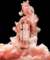 212 VIP ROSÉ - EDP - CAROLINA HERRERA na internet