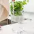 Organizador de Temperos Clear Fresh – 2,3L Natural - The Cozy Home