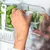 Imagem do Organizador de Temperos Clear Fresh – 2,3L Natural