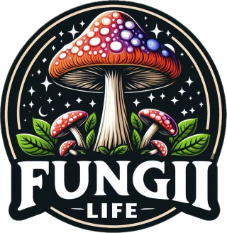 FUNGII LIFE