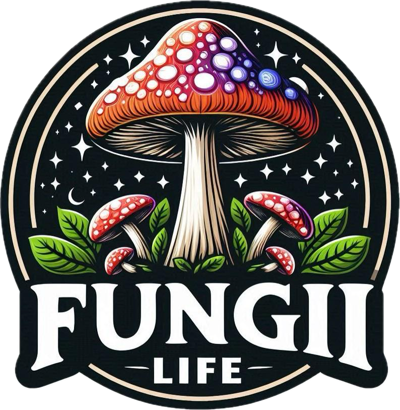 FUNGII LIFE