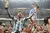 Camiseta Titular Argentina Festejo Mundial 2022 - tienda online