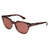 Ray-Ban Blaze Meteor 4368N -Bordo havana/violeta - comprar online