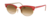 Ray-Ban Clubmaster Oval 3946 -Rojo/marron degrade - comprar online