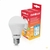 Kit 5 Lâmpadas LED Bulbo A60 E27 Bivolt