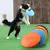 Disco voador para Cães - UrbePet