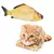 Peixe Elétrico para pets