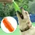 Disco voador para Cães - UrbePet