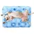 Esteira de verão refrigerando para Pet - comprar online