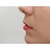 Piercing De Orelha Ou Nariz Argola Com Pedras Prata Cor Prat - comprar online
