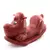 Gangorra de Cachorro para Meninos e Meninas - loja online