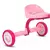 Triciclo Infantil De Alumínio Nathor Rosa - Ursinho&Cia