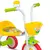 Triciclo Infantil Nathor Safari Colorido com Cestinha