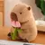 Capivara capibara - comprar online