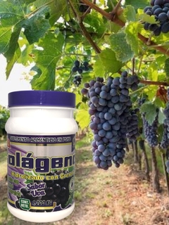 Colageno sabor uva - comprar en línea